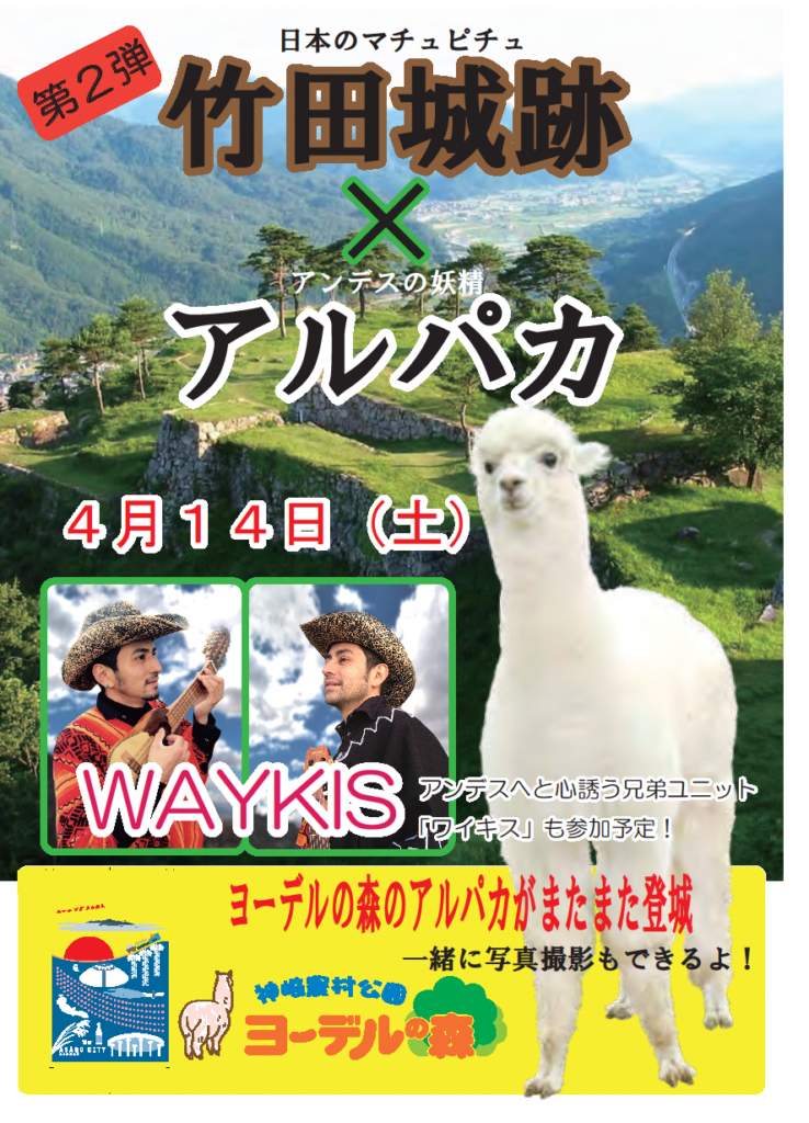 第2弾！竹田城跡にアルパカがやってくる！ | あさご市ポータルサイト
