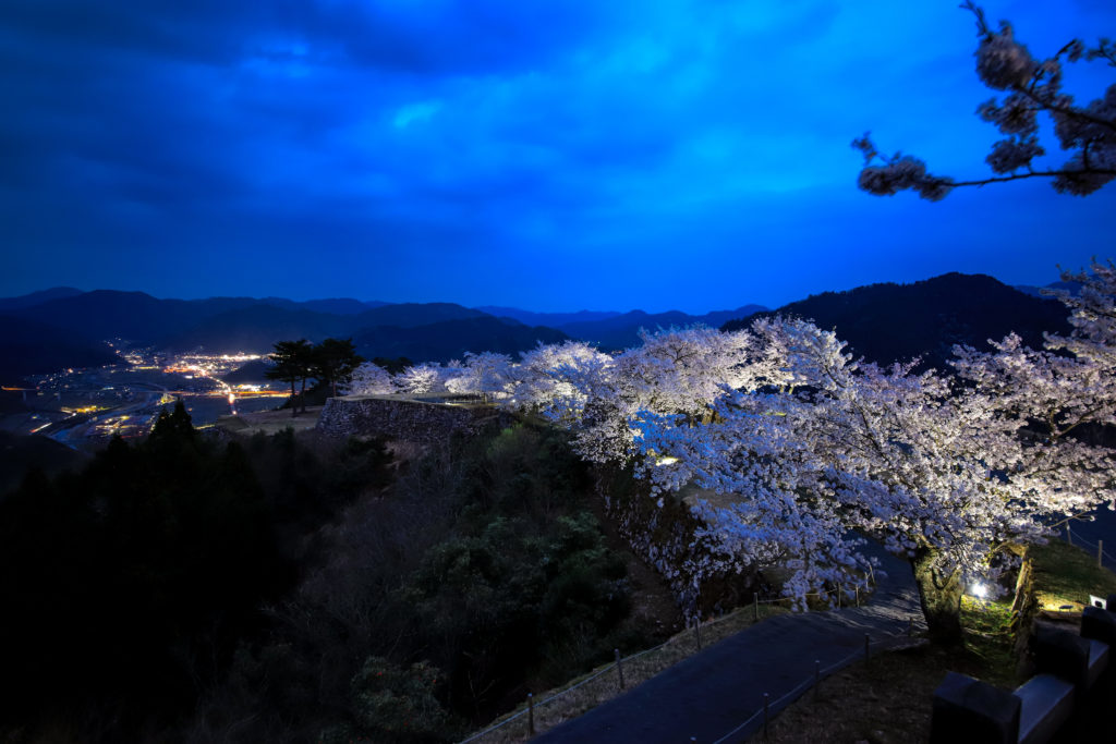 竹田城跡夜桜ライトアップ 観覧時間の延長 あさご市ポータルサイトあさぶら 竹田城跡夜桜ライトアップ 観覧時間の延長 あさご市ポータルサイトあさぶら