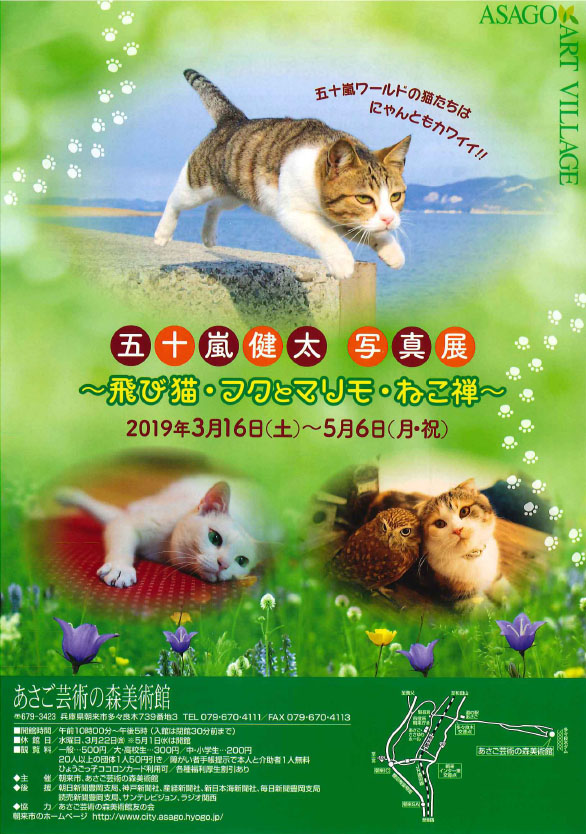 五十嵐健太写真展 ～飛び猫・フクとマリモ・ねこ禅～ | あさご市