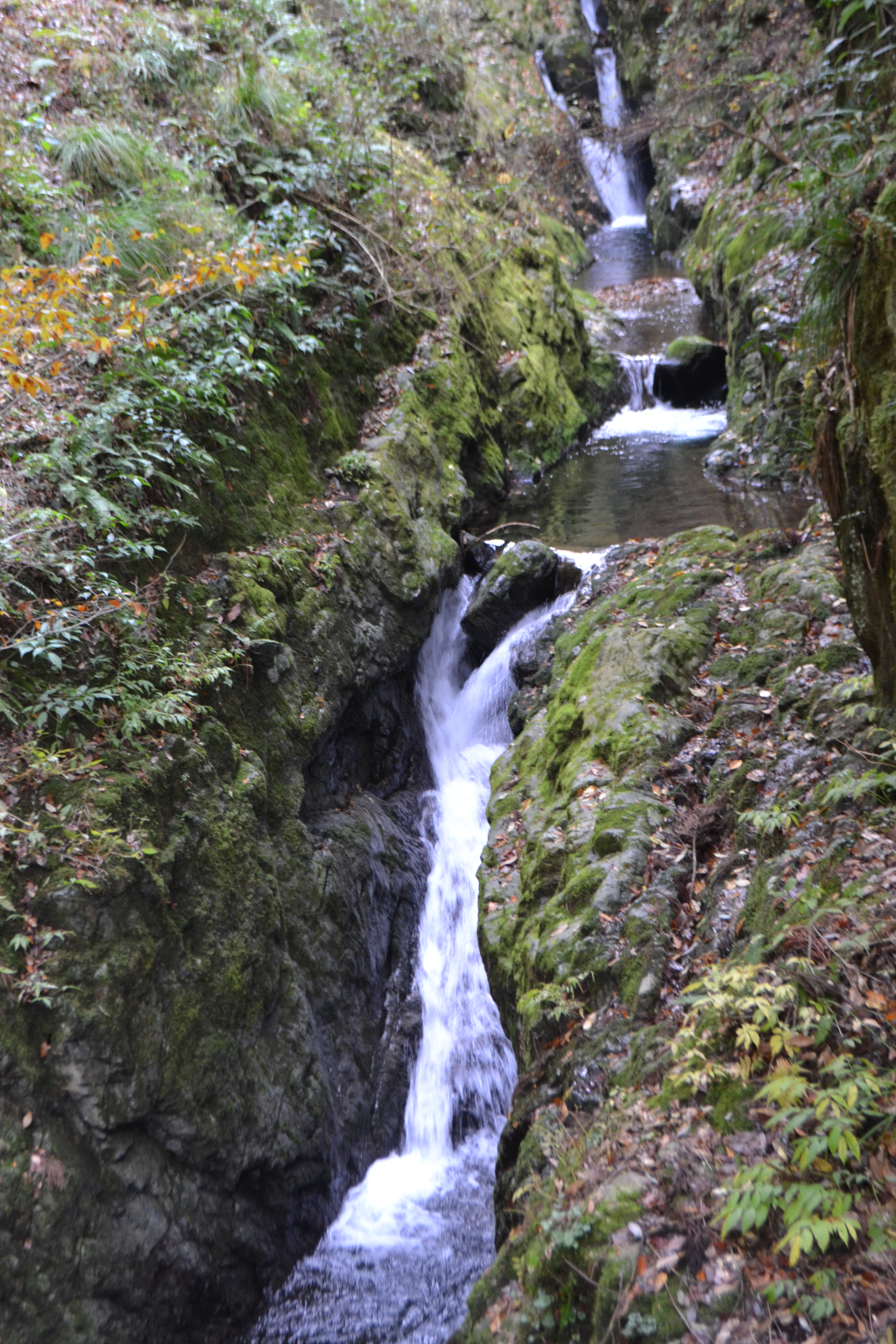 糸井渓谷秋の不動の滝 あさご市ポータルサイトあさぶら