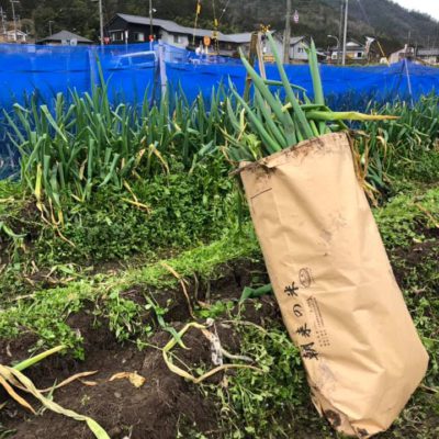 イベント情報 あさご市ポータルサイトあさぶら