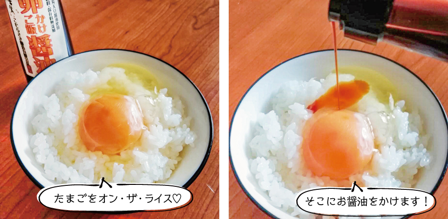 激安ブランド 送料無料 たまごかけごはんの素 100g×2袋セット 卵かけご飯 TKG 飯友 卵 お試し お取り寄せ 通販 ふりかけ 飯とも 保存食  非常食