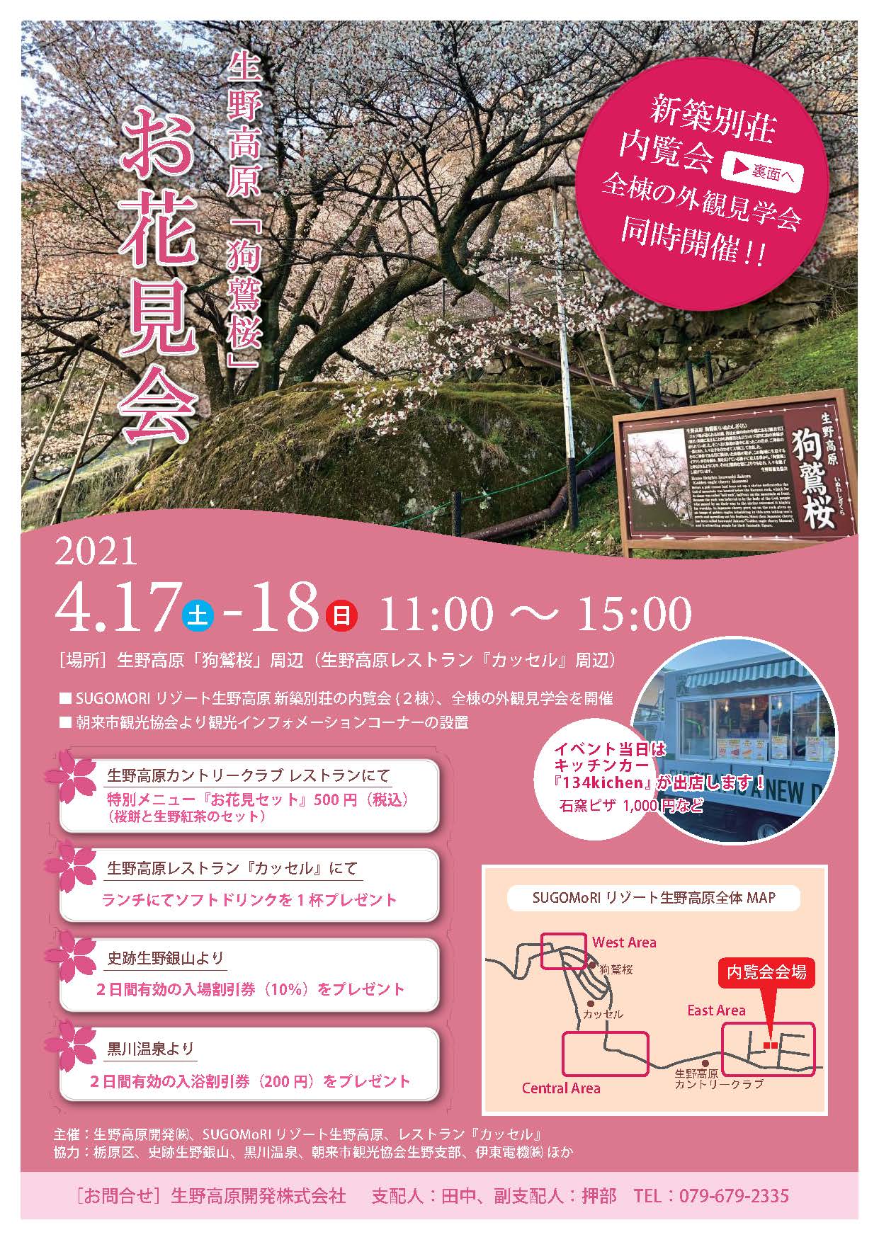 生野高原 狗鷲桜 お花見会 あさご市ポータルサイトあさぶら 生野高原 狗鷲桜 お花見会 あさご市ポータルサイトあさぶら