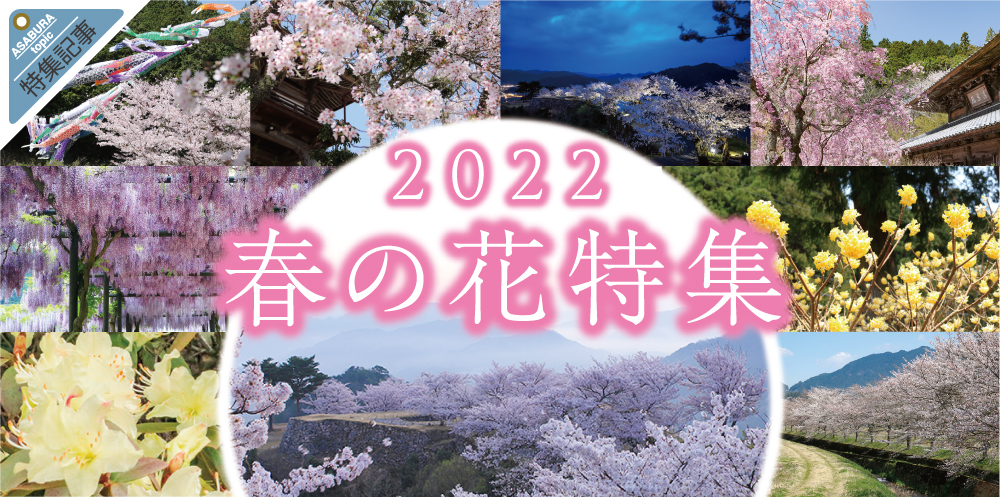 2022 朝来市 春の花特集 あさご市ポータルサイトあさぶら 2022 朝来市 春の花特集 あさご市ポータルサイトあさぶら