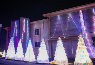 ボトルツリー 2023年限定生産 ボトル 】クリスマス ツリー型ボトル ロゼワイン500ml