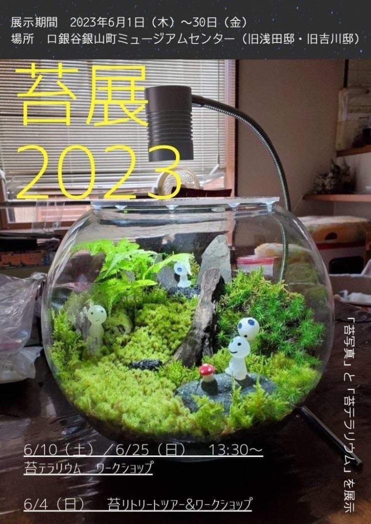 苔展2023 | あさご市ポータルサイトあさぶら