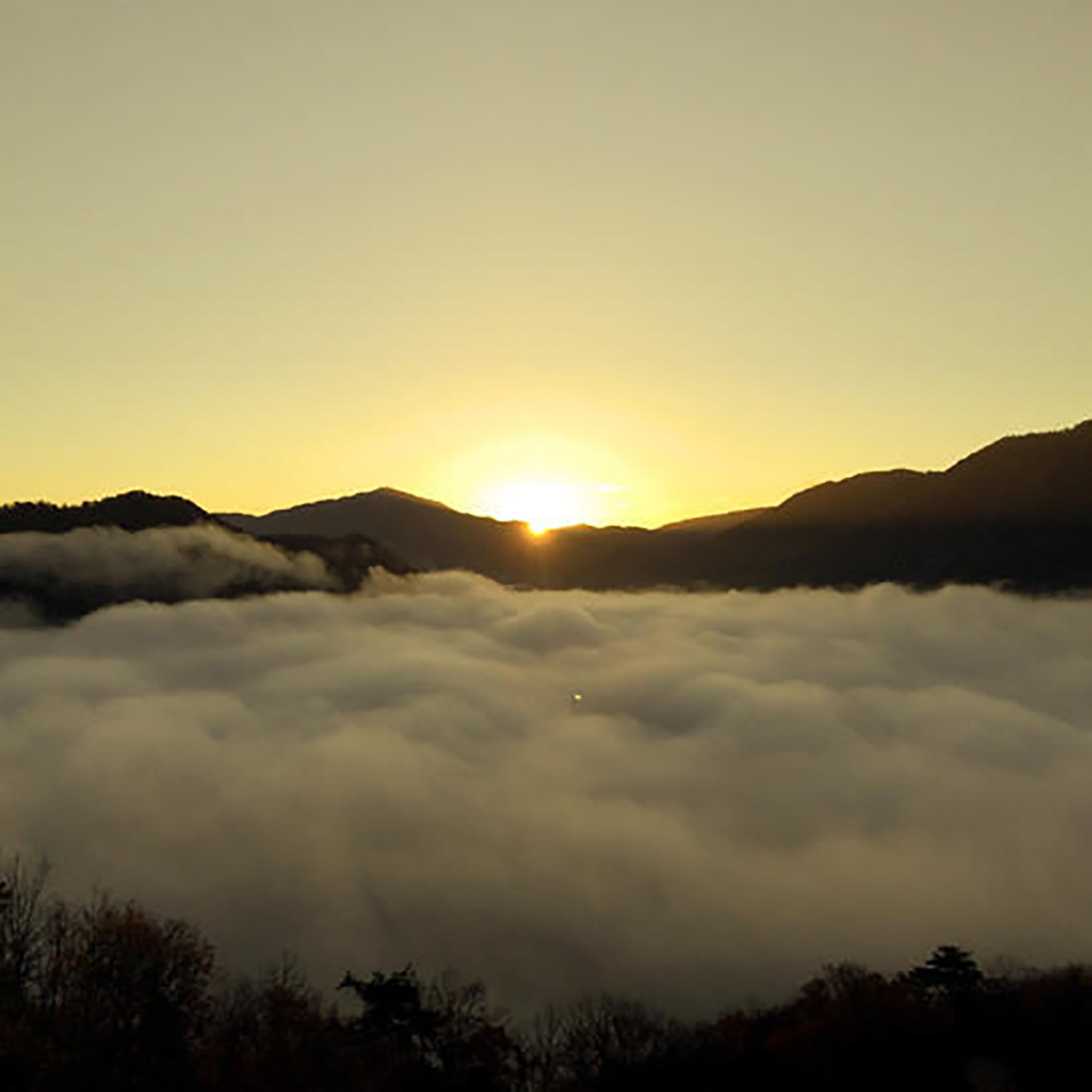 竹田城跡】元日初日の出 特別観覧 | あさご市ポータルサイトあさぶら
